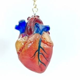 哥特暗黑风医学欧美复古设计感仿真心脏器官模型原创手工耳钉饰品