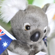 毛绒玩具澳大利亚考拉熊树熊玩偶娃娃公仔抓机生日礼物婚礼用