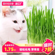猫草无土盆栽化毛草孑猫咪种子品种种子小麦非有机懒人已种好零食