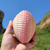 天然粉蛤贝壳可打开大海螺贝壳鱼缸造景海星装饰摆件贝壳首饰盒