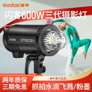 神牛（Godox）闪客600W三代摄影闪光灯套装柔光灯造型灯影室灯影