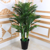 假树仿真树室内装饰葵树盆栽大型绿植客厅室内花落地植物假椰子树
