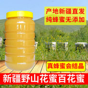 新疆蜂蜜伊犁黑蜂蜂蜜2斤纯正农家自产无添加土蜂野山花蜜