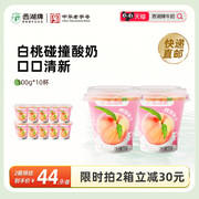 快递西湖牌白桃味优酪乳100g*10杯风味酸乳生牛乳发酵