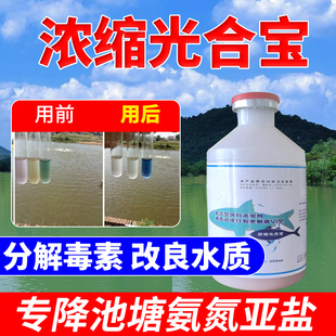 超浓缩光合菌液水产养殖专用鱼虾蟹塘饵料，降氨氮净化水质光合