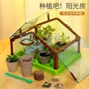 种植阳光房儿童科学罐头孟德尔培育舱，立体植物盆，观察盒小盆栽玩具