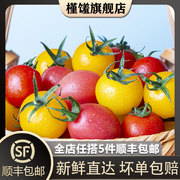 槿馐樱桃小番茄400g 红黄圣女果新鲜蔬菜水果西红柿 5件