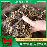 仙草干仙草冻黑凉粉草粿草汁正宗仙人粄草龟苓膏烧仙草 新鲜草干