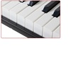 838电子钢琴键61键，力度教学琴，成人儿童初学智能教学家用
