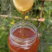 蜂蜜纯正天然无添加结晶，椴树雪蜜农家，自产野生散装液态峰蜜
