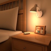 遥控小夜灯卧室节能小夜灯创意插座喂奶卧室床头灯带开关插头灯