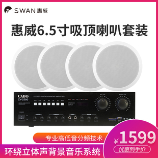 Hivi/惠威VX6-C定阻同轴6.5寸高保真吊顶吸顶喇叭音箱功放套装