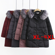 200斤胖mm大码女装棉衣，fatwomenplussizewintercoatjacket