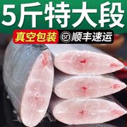 带鱼新鲜冷冻鱼中段特级大号小眼带鱼2500g深海鱼鲜活海鲜水产