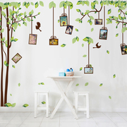 照片墙装饰画客厅房间，墙上相框贴纸墙贴创意大树，家居装扮自粘壁纸