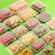 一次性水果盒带盖塑料，透明一斤装包装盒草莓，葡萄果蔬500克打包盒