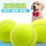 狗狗玩具球金毛泰迪耐咬弹力球拉布拉多小狗磨牙训练宠物玩具网球