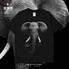立体动物图案高清大象欧美风潮个性宽松短袖T恤男女印花夏设 无界