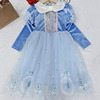 3-11岁女童冬款加绒爱沙公主裙洋气，宝宝公主裙，儿童纱裙生日礼服裙