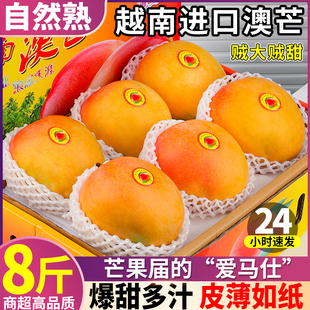 超选8斤越南澳芒新鲜芒果凯特芒果特大果，当季时令高端水果10