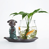创意绿萝水培植物花瓶，玻璃透明容器水养中式花插陶瓷花盆器皿摆件