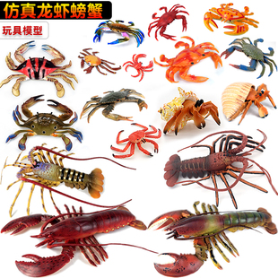 仿真龙虾螃蟹帝王蟹模型玩具塑胶实心摆件海洋动物儿童认知礼物