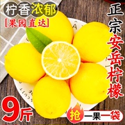 安岳柠檬6新鲜水果当季整箱，甜香水柠檬，新鲜皮薄一级小青柠檬