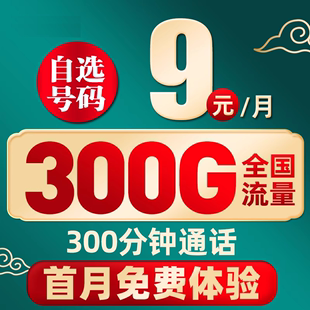 中国流量卡纯流量上网卡无线5g流量卡手机电话卡大王卡通用