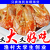 青岛特产渔民自制即食虾干虾烤虾干大对虾干，海虾干货海鲜零食干货