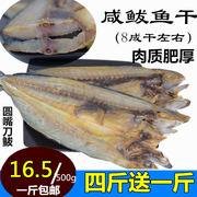 马鲛鱼干马鲛鱼海鱼咸鱼干，500克鲅鱼干，海鲜干货鲅鱼干腌制