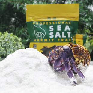 寄居蟹专用海盐～天然高钙水族盐硬骨珊瑚盐LPS盐SPS海海水小包装