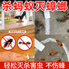 蚂蚁一画灵粉笔杀蚂蚁药家用驱赶蜂箱蚂蚁灭蟑螂专用工具蜂场蚁净