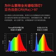 超薄客厅吸顶灯儿童护眼灯具长方形，led无频闪，防蓝光卧室灯