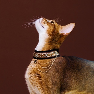 两短一长原创宠物饰品埃及阿比猫项链流苏高贵丝绒项圈生日礼物