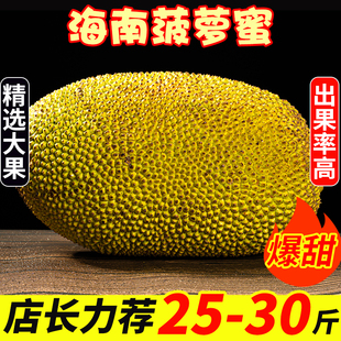 海南菠萝蜜新鲜水果波罗蜜当季整箱40斤一整个三亚特产红黄心