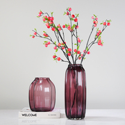 现代玻璃花瓶紫色透明水培，摆件桌面插花花，器电视柜简约装饰品餐桌