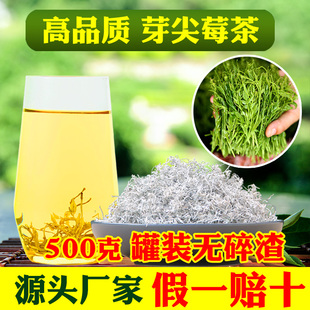 张家界爱艺园莓茶龙须芽尖霉茶嫩叶永顺土家藤茶