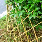 伸缩竹篱笆围墙护栏围栏栅栏菜园室外庭院花架花园户外简约爬藤架