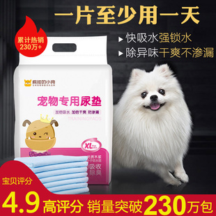 狗狗尿垫宠物用品尿片，猫尿布泰迪尿不湿，吸水垫加厚诱导100片