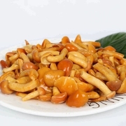 滑菇罐头清水滑子菇蘑菇罐头蔬菜罐头食用菌香菇类3500g