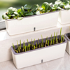 阳台种菜盆蔬菜种植专用箱，超窄窗沿边长方形草莓，花槽懒人花盆神器