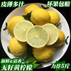 海南无籽黄柠檬新鲜5/3/2/1斤香水柠檬皮薄多汁奶茶店榨汁