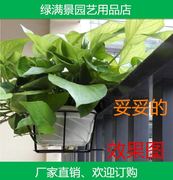 阳台栏杆挂架圆形，花盆专用铁架壁挂花篮铁艺，花架花盆挂架