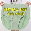 超大码内裤女士胖mm200斤高腰短裤，加肥加大300斤绿色三角裤衩薄款
