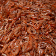 湖南深山淡水湖野生干小虾米红虾米干货500克