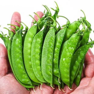 新鲜荷兰豆5斤 现摘甜豌豆荚农家自种当季时令蔬菜脆豆角
