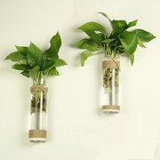 创意壁挂墙面麻绳玻璃转运竹，花瓶绿萝花器现代简约家居装饰摆件