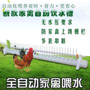 新型鸡饮水器自动喂水鸡鸭鹅养鸡自动饮水槽鸡用家禽