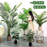 仿真柠檬树植物装饰摆件室内造景假芭蕉盆栽大型仿真绿植客厅绿植