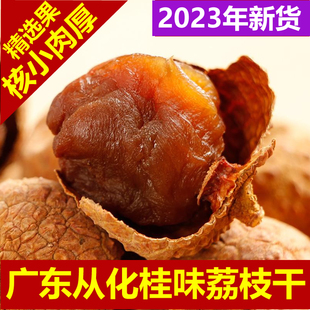 2023年新货桂味荔枝干核小肉厚特级广州从化特产500g袋装